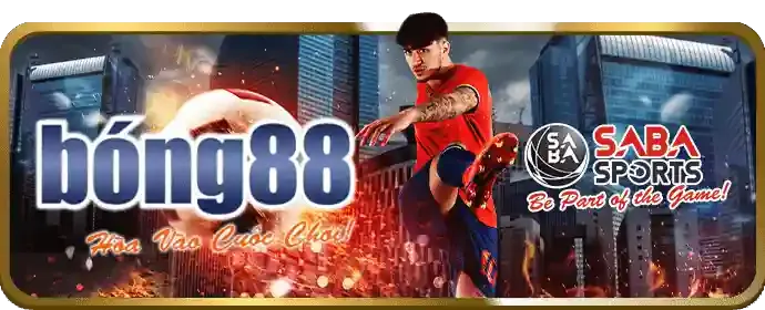 Kèo Wala trong đá gà Zbet88